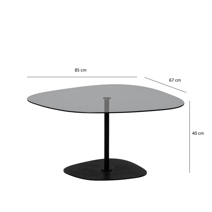 Hanah Home Soho Mesa de Centro de Cristal Templado Gris Oscuro y Negro